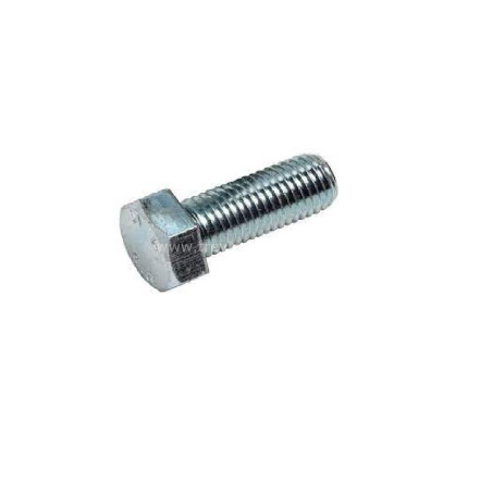 SCHMİTZ Altıköşe Başlı Vida Bolt M10x30