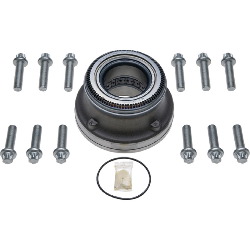 03434365000 SAF Dingil Diskli Porya Rulmanlı