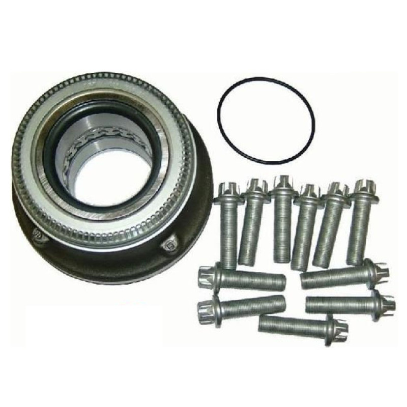 03434365000 SAF Dingil Diskli Porya Rulmanlı